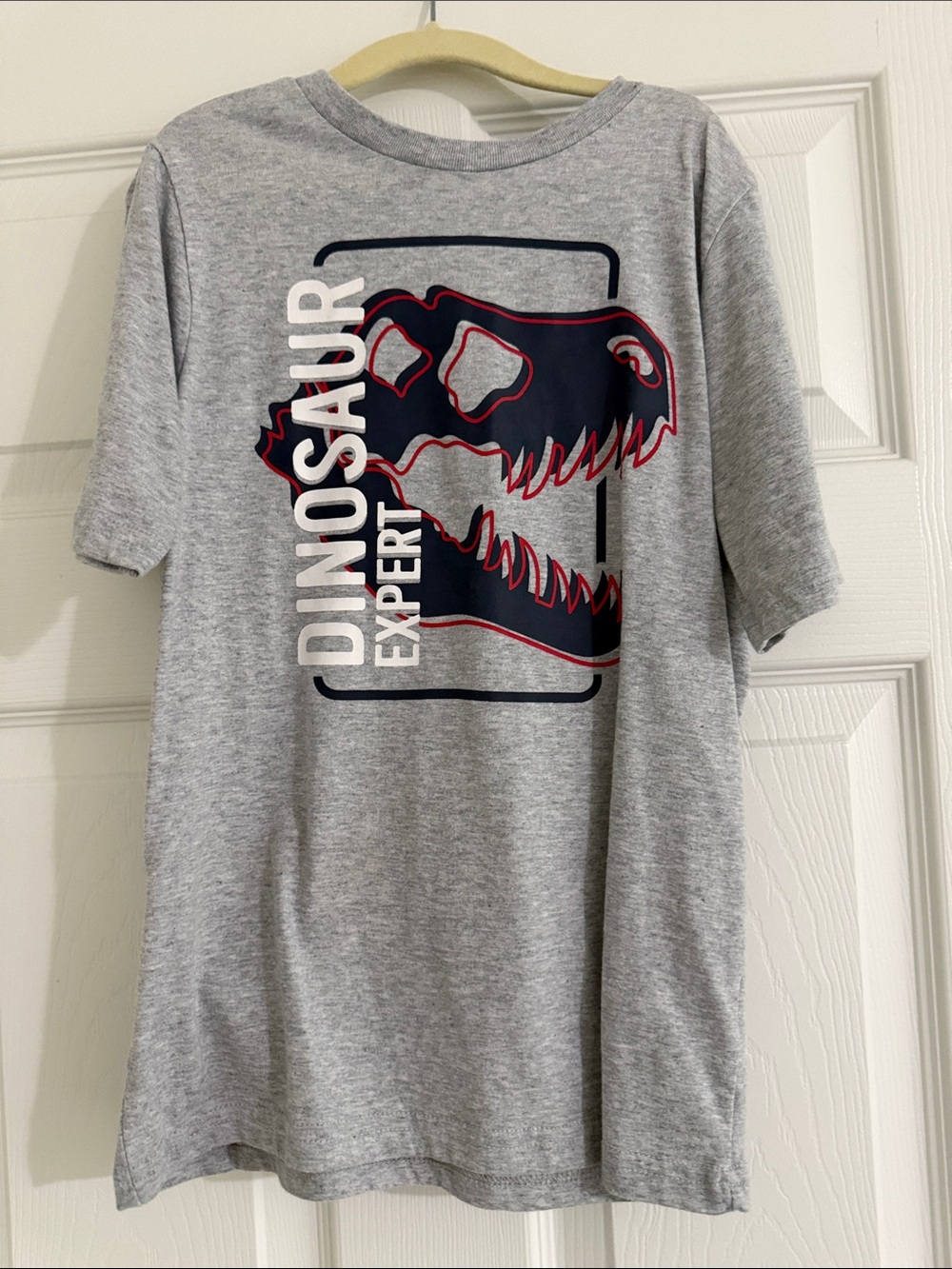 Kids Gray 'Dinosaur Expert' Graphic Tee